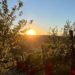 Silvano Bolmida: elogio alle Langhe