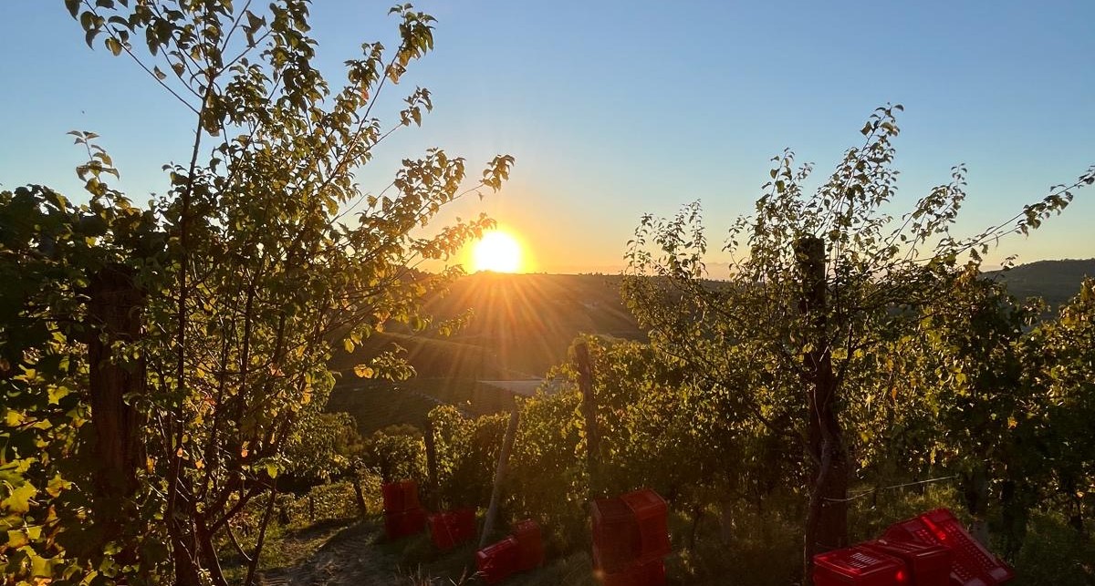 Silvano Bolmida: elogio alle Langhe