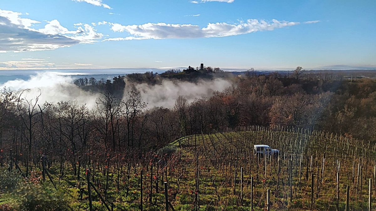 Stefano Vegis, l’artigiano del Gattinara