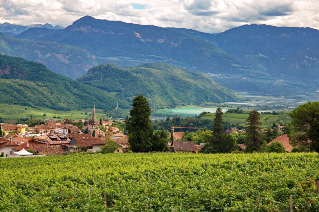 Niklaserhof e le sue vigne