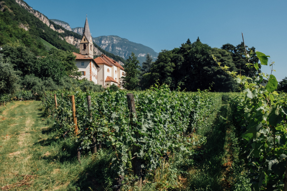 Clemens Lageder: alcune vigne nei pressi di Magrè