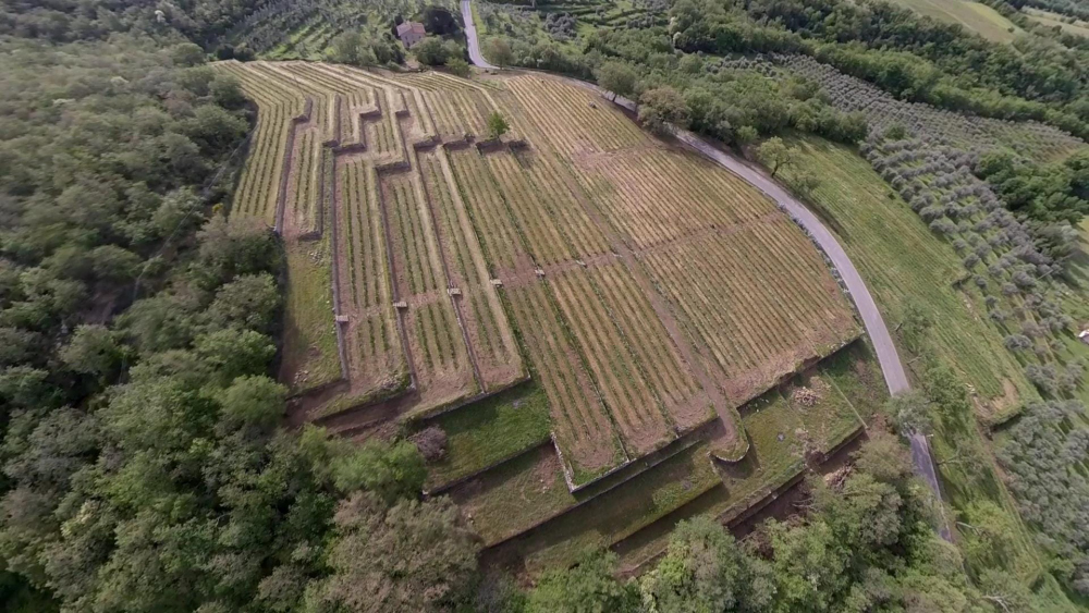 Vigna delle Sanzioni