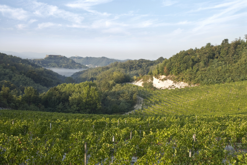 La Mesma: i vigneti e il forte di Gavi