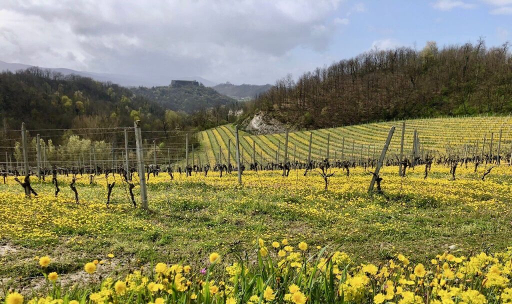 La Mesma: un paesaggio
