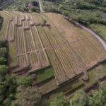 Vigna delle Sanzioni: la Toscana tra storia, vino e visione