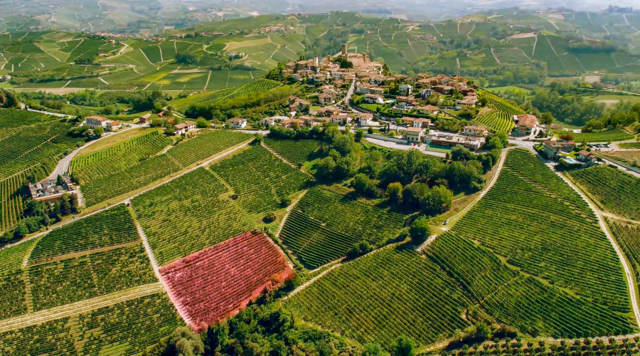 Sorod Giovanni: Monprivato