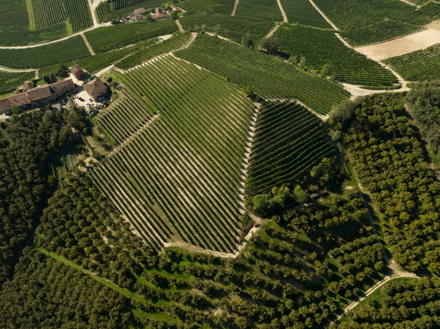Sordo Giovanni: Monvigliero