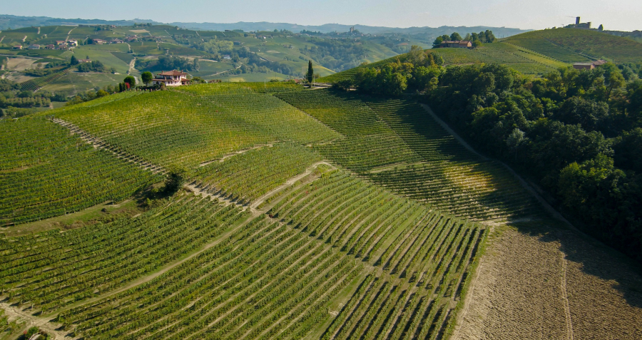 Sordo Giovanni Parussi