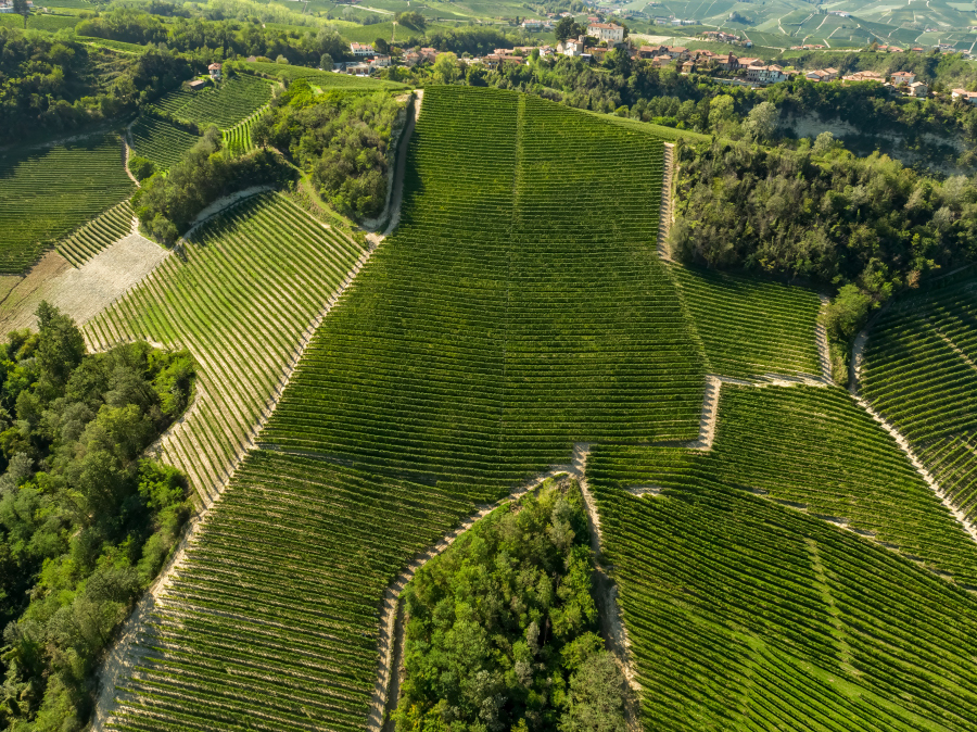 Sordo Giovanni: Perno