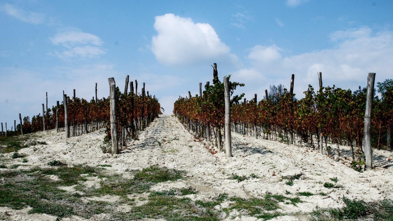La Caplana e il Gavi DOCG