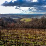 Il Poggio, Gavi e le terre rosse: verticale di Etichetta Nera