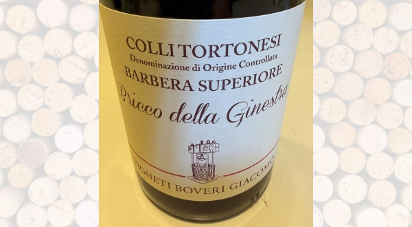 Vigneti Boveri Giacomo - Bricco della Ginestra 2016