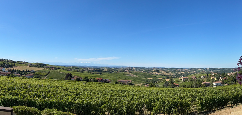 Paesaggio dal terrazzo dell'Azienda Gozzelino Sergio