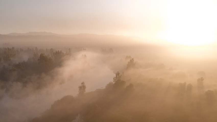 I vini del Sud Africa: paesaggio nella Breede River Valley.