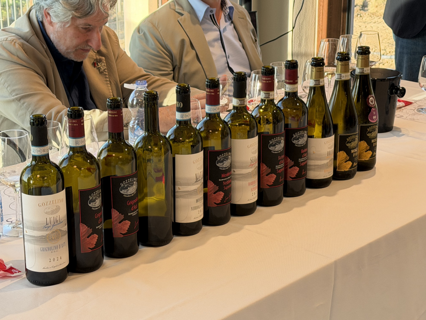 Le bottiglie degustate durante la masterclass presso Gozzelino Sergio