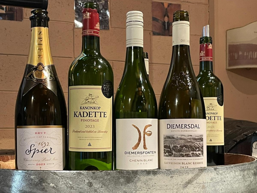I vini del Sud Africa: la degustazione