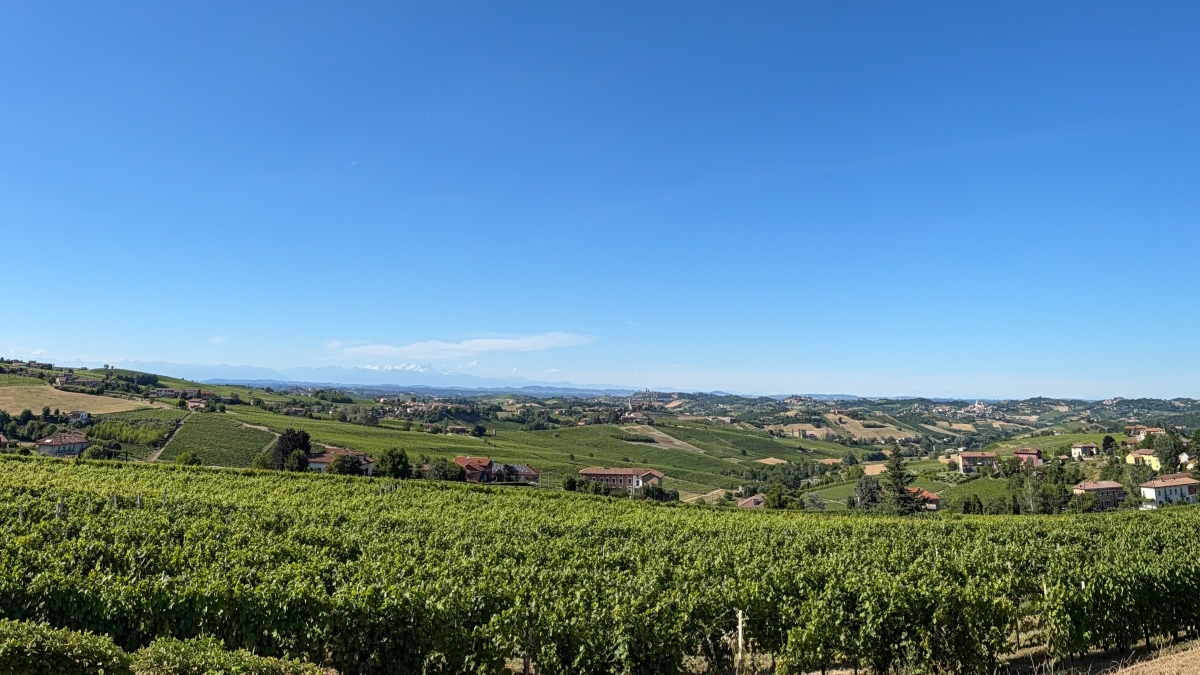 Gozzelino Sergio, vini e vigneti dal cuore del Monferrato