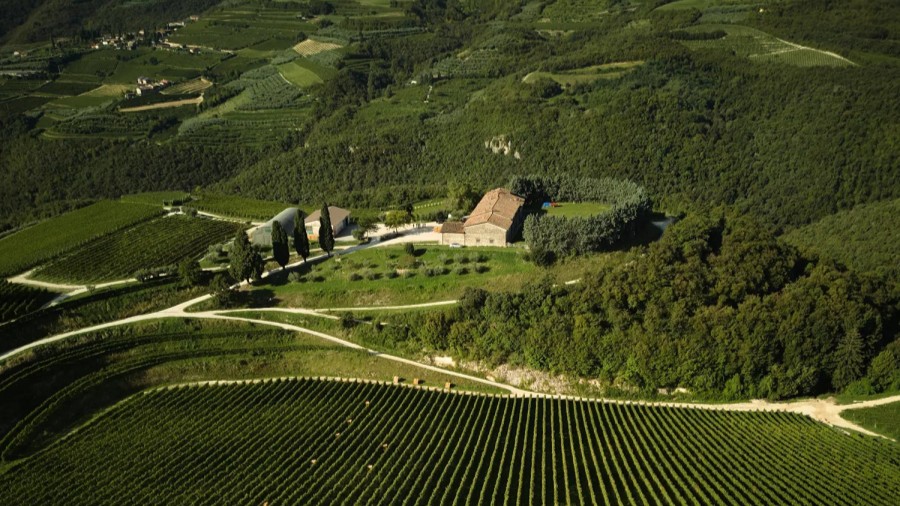 Tedeschi Wines, la Valpolicella e il tempo che verrà