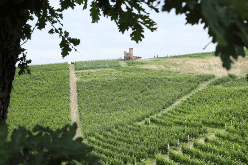 Oddero Poderi e Cantine: panorama di Vignarionda