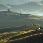 Oddero Poderi e Cantine, memoria e nebbiolo