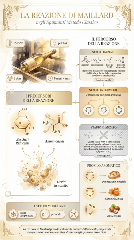 Affinamenti alternativi del vino: la reazione di Maillard