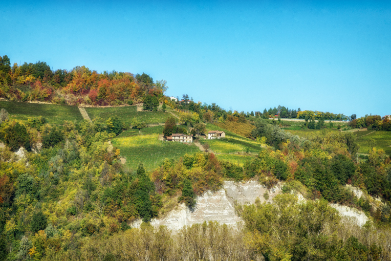 La collina dei Pasinotti vista dalla sede aziendale de Le Strette