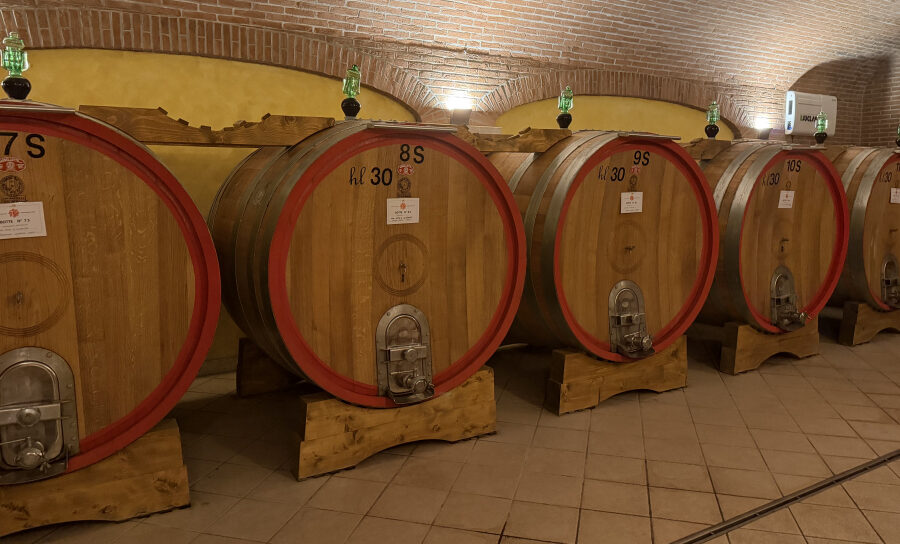 Botti grandi nella cantina di Valentina Cubi