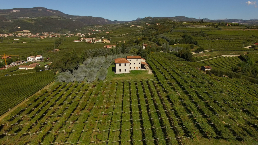 Panorama dell'Azienda di Valentina Cubi