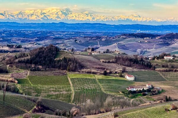 Cantina Tre Secoli: territorio, cooperazione e sostenibilità
