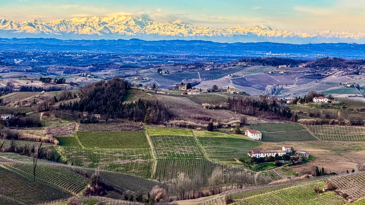 Cantina Tre Secoli: territorio, cooperazione e sostenibilità