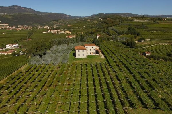 Valentina Cubi, la valle di Fumane e la Valpolicella