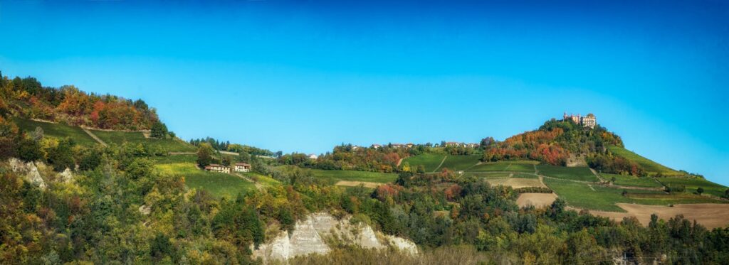 Le Strette: panoramica sulla vigna Pasinot