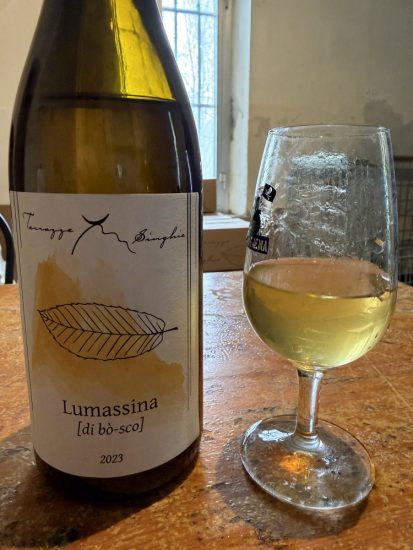 004 Terrazze Singhie