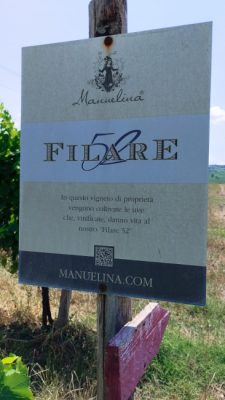 Manuelina Filare 52