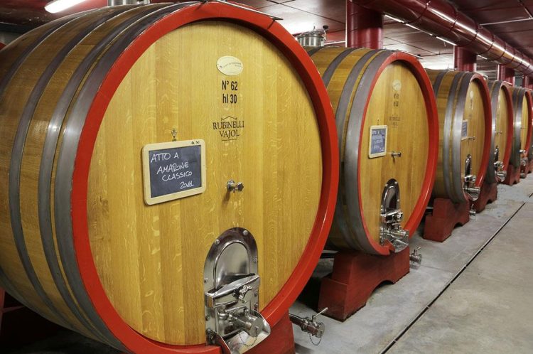Rubinelli Vajol: le botti grandi di rovere