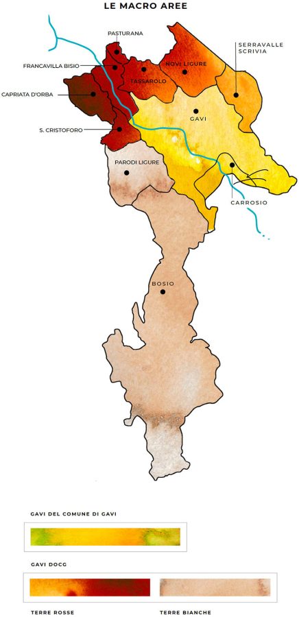Mappa dettagliata della zona del Gavi, che mostra la localizzazione delle principali tipologie di suolo - ovvero terre bianche e terre rosse oltre alla zona di produzione del Gavi DOCG del Comune di Gavi - dove sono allevati i vigneti dei Produttori del Gavi.