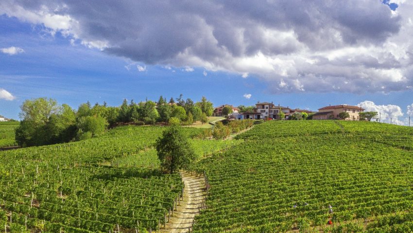 Copertina moscato Go Wine Luciano Bray 2025