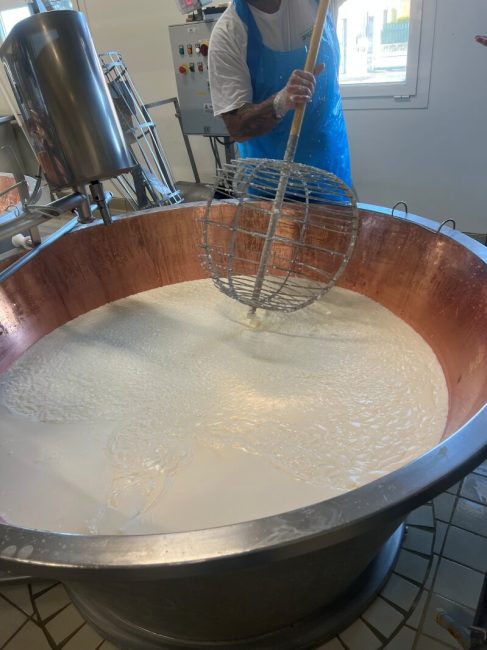 La rottura della cagliata con lo spino