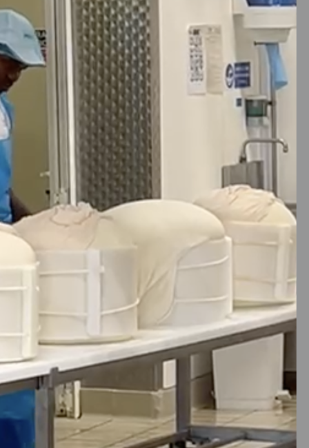 Le forme del Parmigiano Reggiano DOP nelle fascere