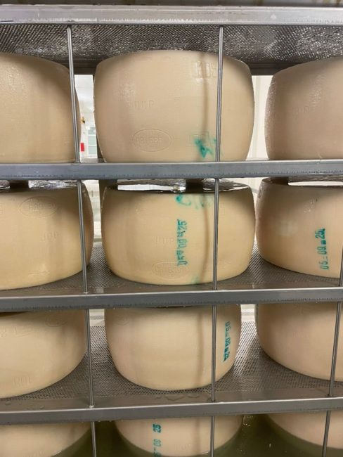 La stagionatura delle forme di Parmigiano Reggiano DOOP