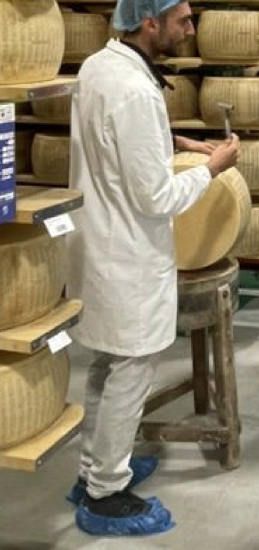Il controllo delle forme di Parmigiano Reggiano tramite la battitura