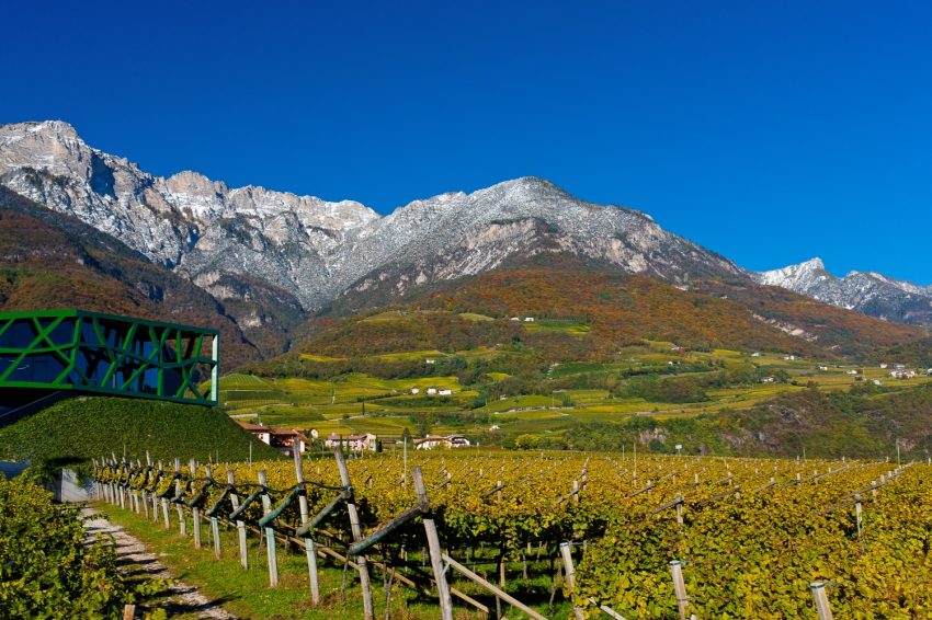 Cantina Sociale di Tramin
