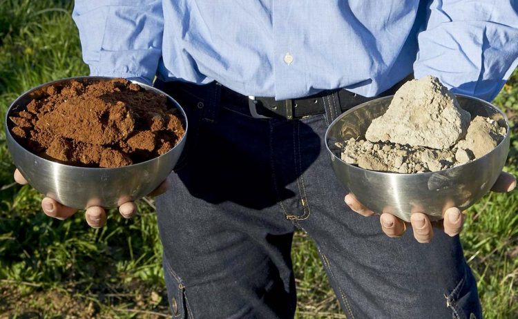 Le terre bianche e quelle rosse che danno vita al Gavi DOCG Spumante Metodo Classico